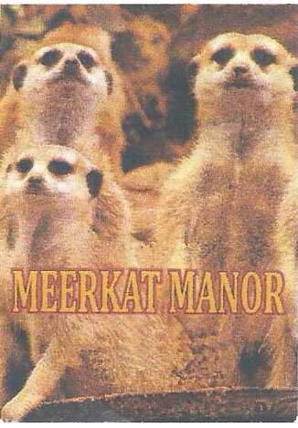 Trademark MEERKAT MANOR