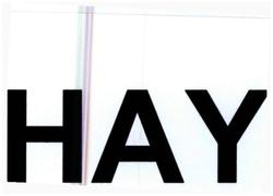 Trademark HAY