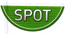 Trademark SPOT & Logo