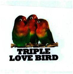 Trademark TRIPLE LOVE BIRD