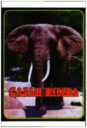 Trademark GAJAH RIMBA + HURUF ARAB =