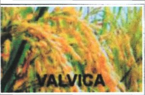 Trademark VALVICA