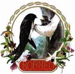 Trademark BORNEO NEST + LUKISAN BURUNG