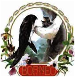 Trademark BORNEO NEST + LUKISAN BURUNG