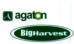 Trademark AGATON BIGHARVEST