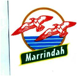 Trademark MARRINDAH + Lukisan Dua Burung Terbang