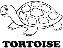 Trademark TORTOISE & LOGO