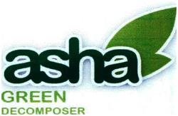 Trademark Asha Green Decomposer