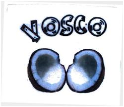 Trademark VOSCO