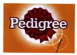 Trademark PEDIGREE