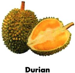 Trademark DURIAN