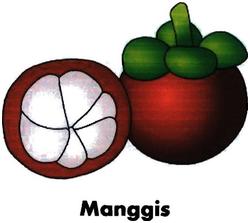 Trademark MANGGIS