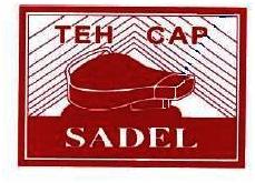 Trademark TEH CAP SADEL + LOGO