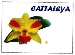 Trademark CATTALEYA