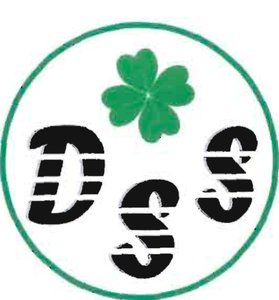 Trademark DSS + LOGO