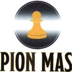 Trademark PION MAS