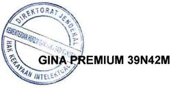 Trademark GINA PREMIUM 39N42M