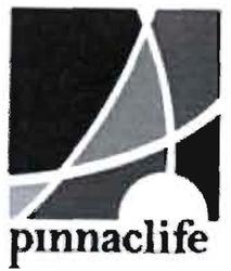 Trademark pinaaclife + Logo