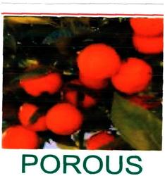 Trademark POROUS