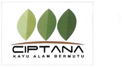 Trademark CIPTANA + LOGO