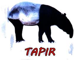 Trademark TAPIR + LUKISAN