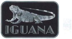 Trademark IGUANA