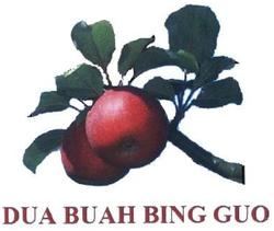 Trademark DUA BUAH BING GUO