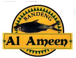 Trademark AL-AMEEN