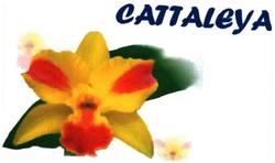 Trademark CATTALEYA