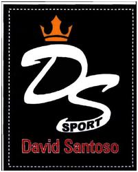 Trademark DAVID SANTOSO SPORT / logo DS