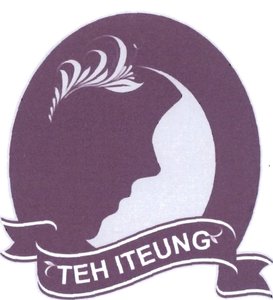 Trademark TEH ITEUNG