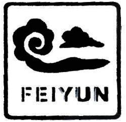 Trademark FEIYUN