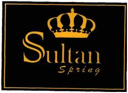 Trademark Sultan Spring