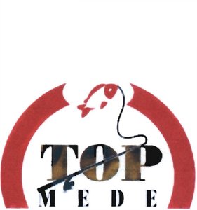 Trademark TOP MEDE + LUKISAN