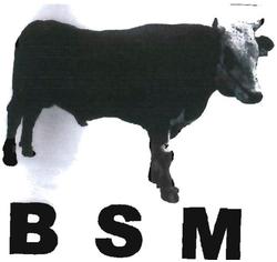 Trademark BSM + LUKISAN SAPI