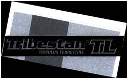 Trademark TRIBESTAN TL + LOGO