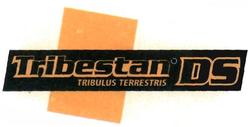 Trademark TRIBESTAN DS + LOGO