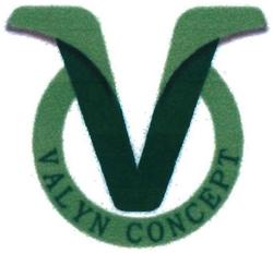 Trademark VALYN CONCEPT + logo v