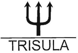 Trademark TRISULA + LOGO