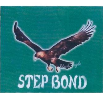 Trademark BLACK EAGLE STEP BOND