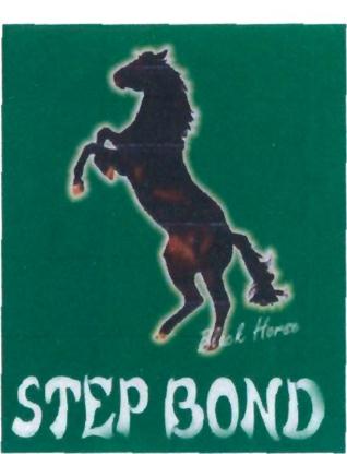 Trademark BLACK HORSE STEP BOND