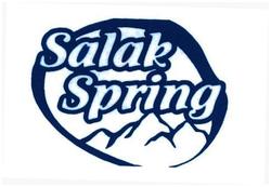 Trademark SALAK SPRING