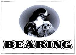 Trademark bearing+logo