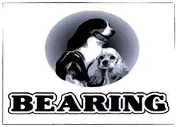 Trademark bearing+logo