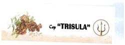 Trademark TRISULA