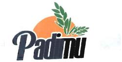 Trademark Padimu