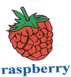 Trademark RASPBERRY