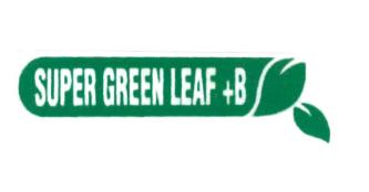 Trademark SUPER GREEN LEAF + B DAN LOGO