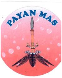 Trademark PAYAN MAS