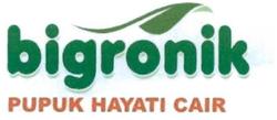 Trademark BIGRONIK